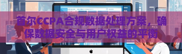 首尔CCPA合规数据处理方案，确保数据安全与用户权益的平衡
